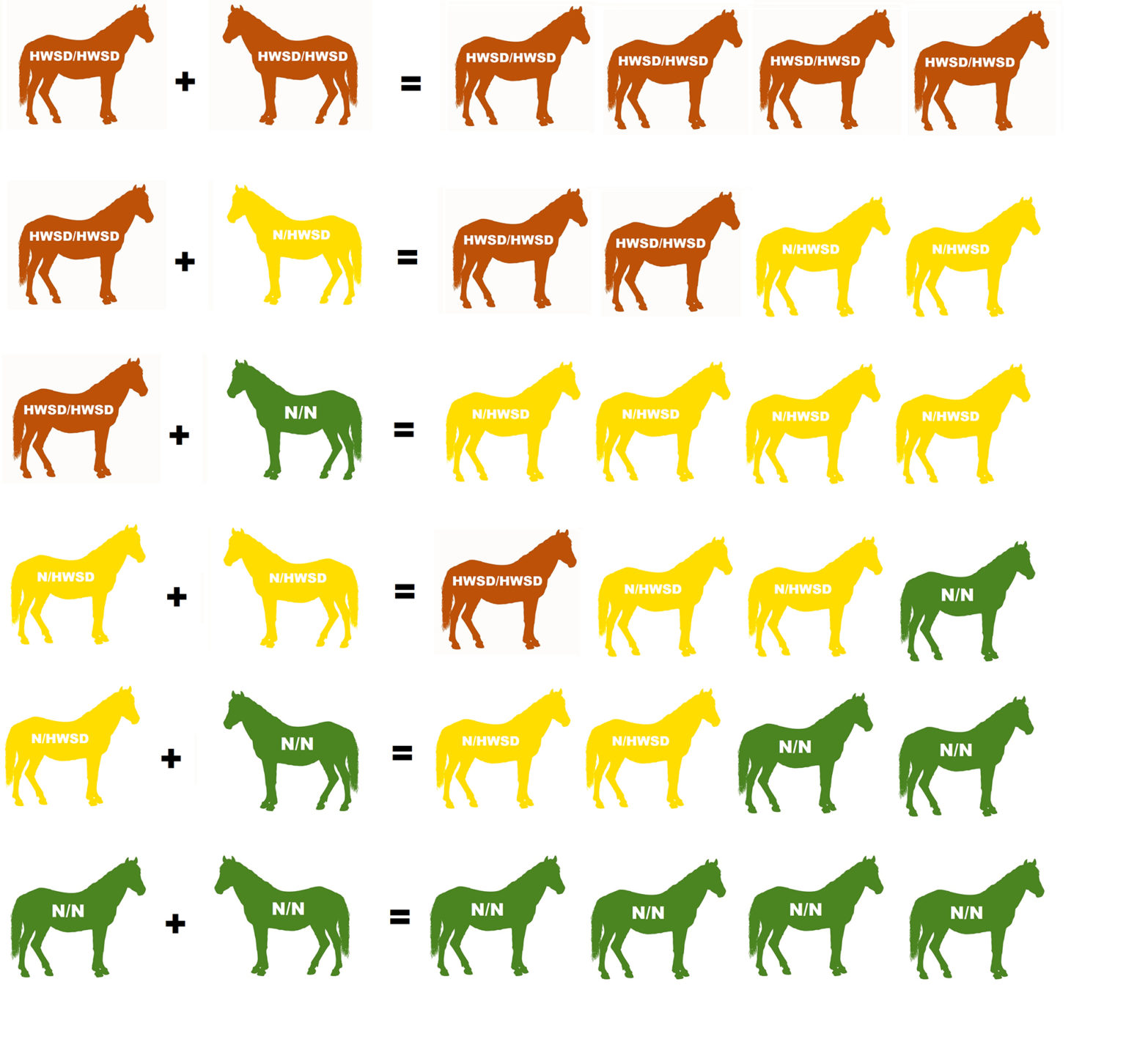 hoof-wall-separation-disease-british-connemara-pony-society