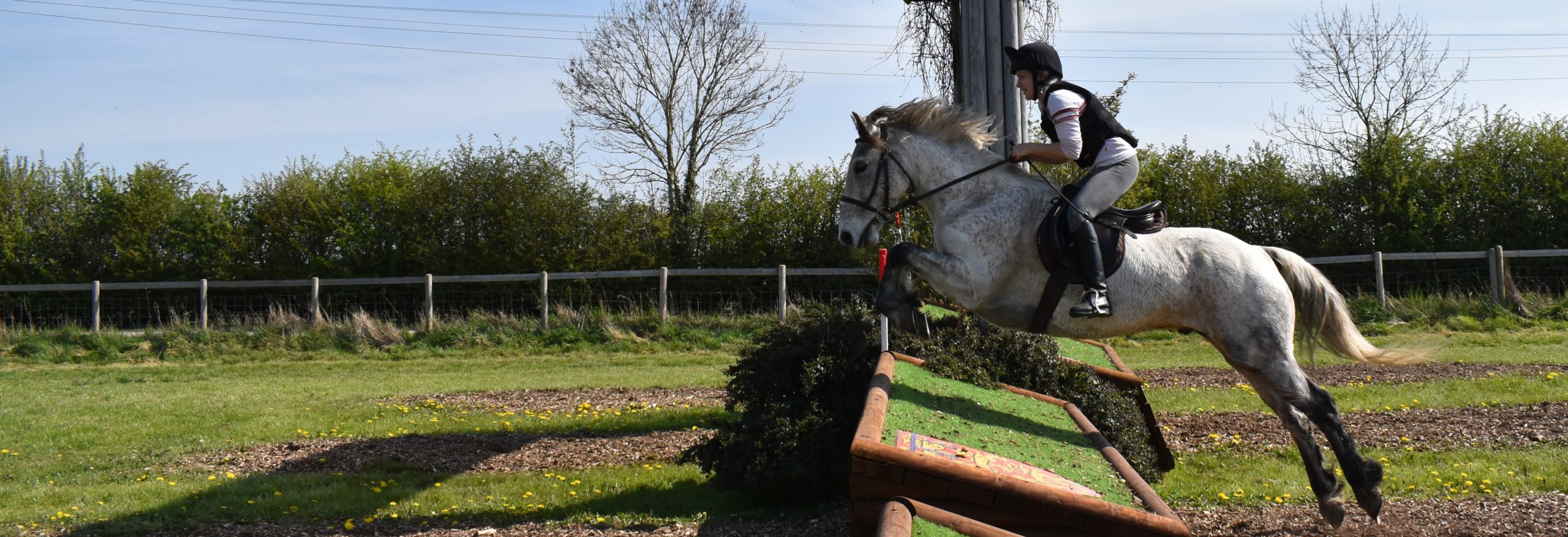 Regions - British Connemara Pony Society