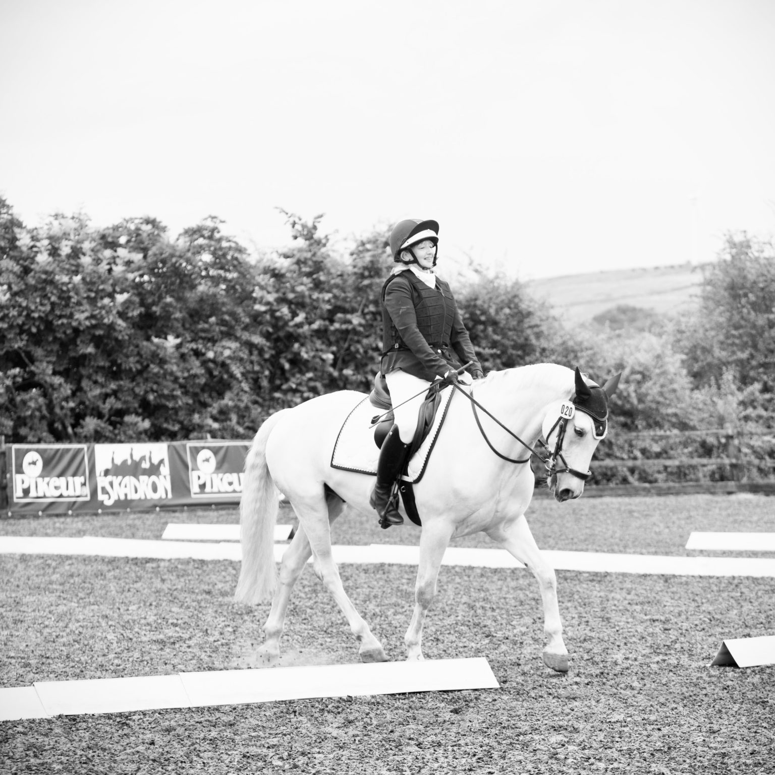 Performance Days & Arena Eventing British Connemara Pony Society